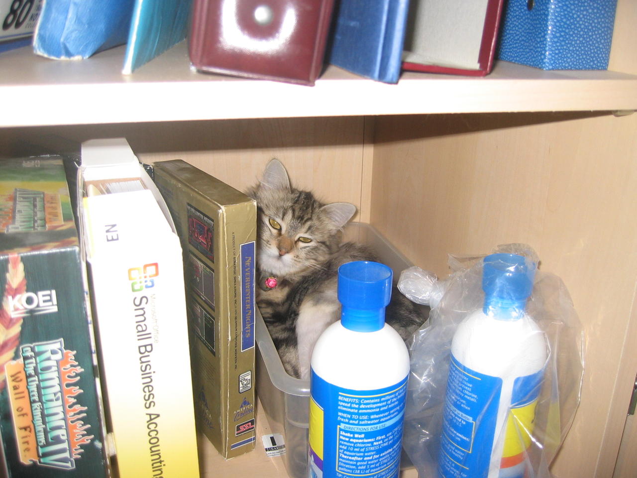 cat sleeping between books
